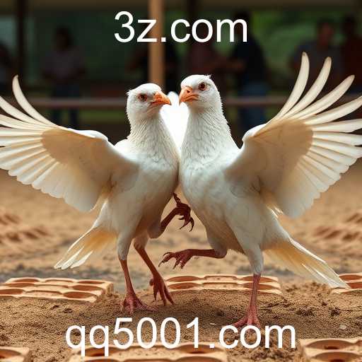 Jogos de Sabong e a Plataforma QQ500